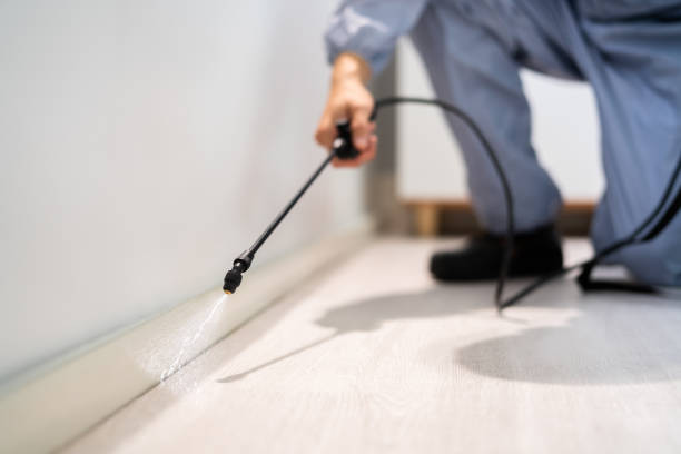 Licensed Fumigation Services service in Hardin County County, OH - Nex Pest Control